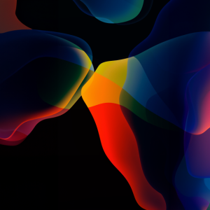 Picture of developer